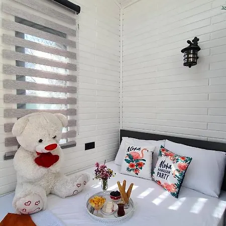 Vakantiehuis Tiny By Marion *